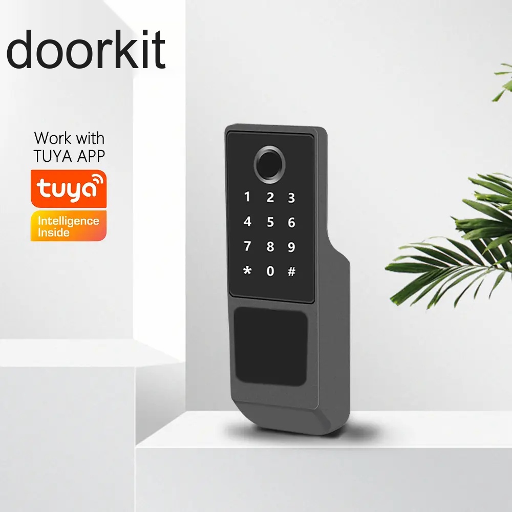 TUYA WIFI /TT LOCK APP Waterproof Outdoor Gate Rim Fingerprint Smart Lock