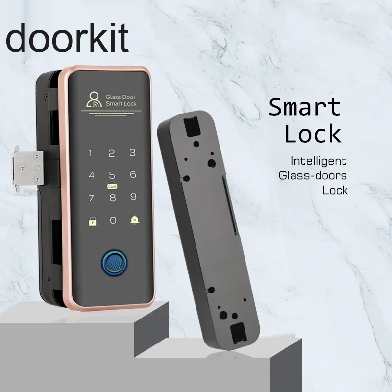Black Metal Body RFID Card Access Control 3D Face Recognition Smart Glass Door Lock For Wholesale